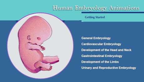 Human Embryology Animations website